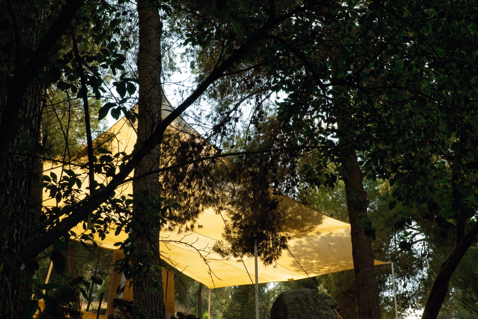 Untitled (Jerusalem, Mount Herzl) 2009 Lambda print, 60X90 cm