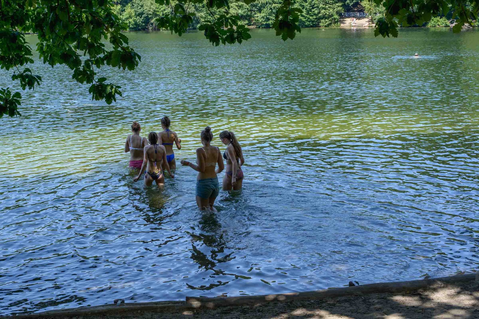 Schlachtensee lake, Berlin, 2014