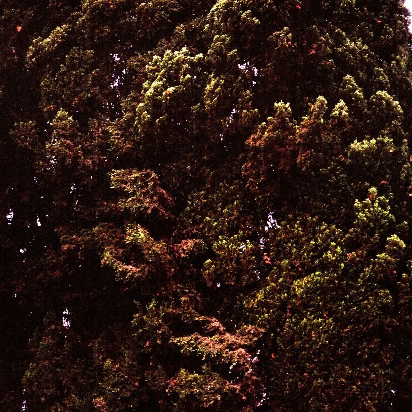 Connections