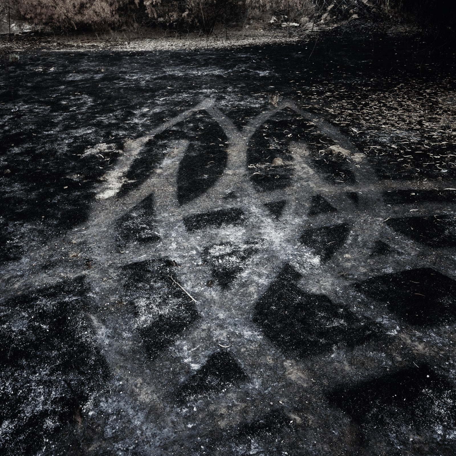 Untitled (Sign) 2008 Lambda print, 60X60 cm