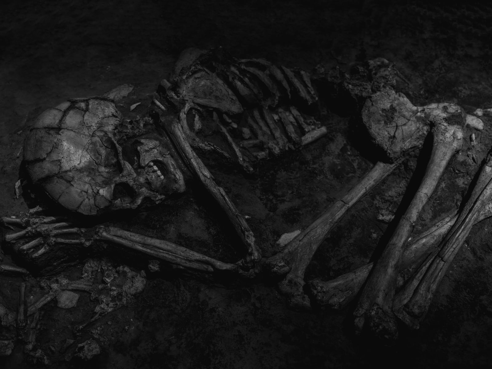 Skeleton 2022