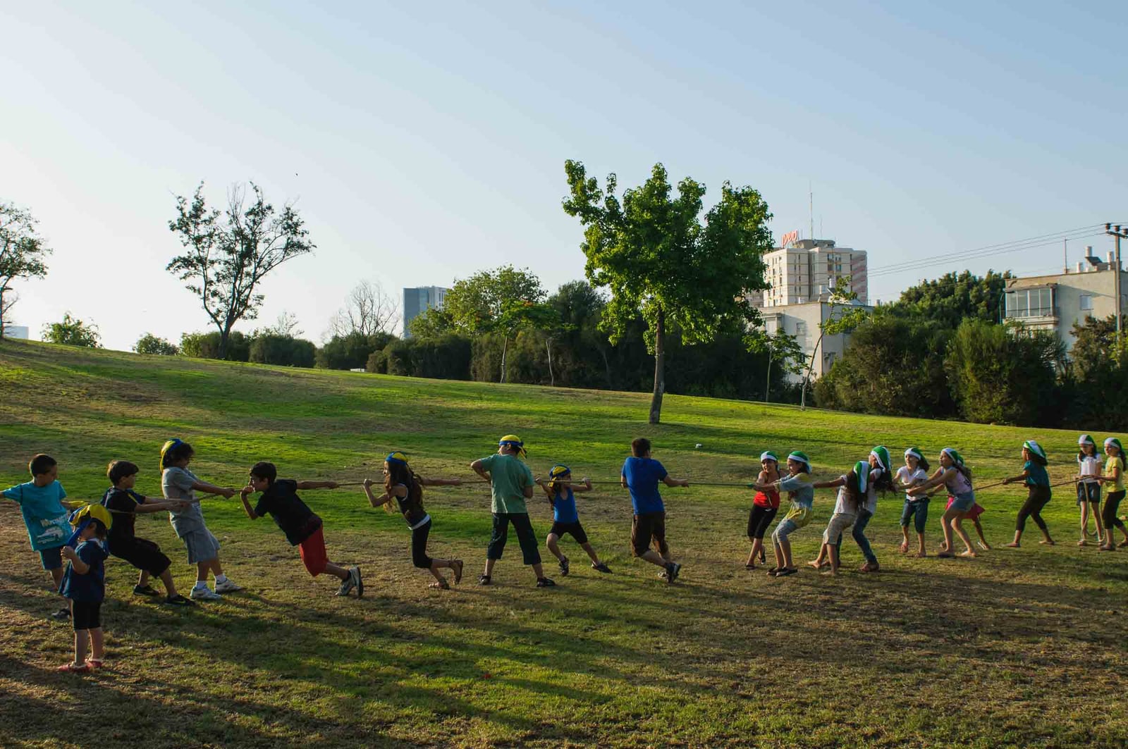 Wolfson Park, 2010