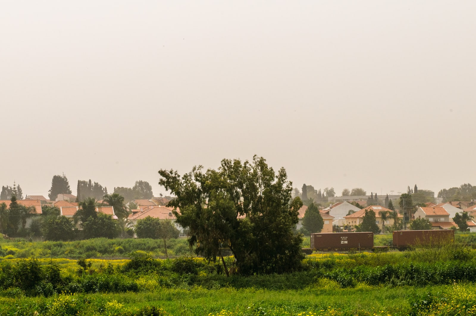 New neighberhood, 2010