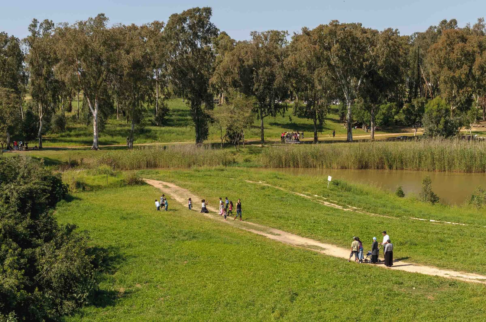Tel Afek, 2010