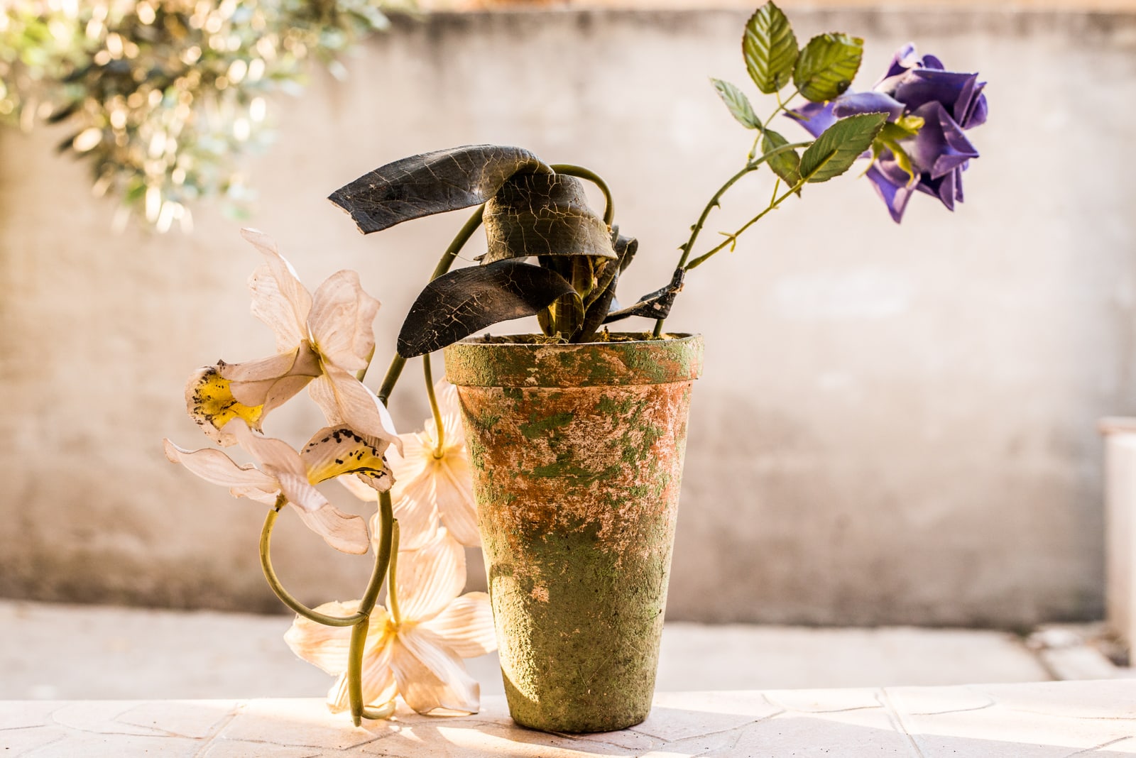 Plastic flower, 2013