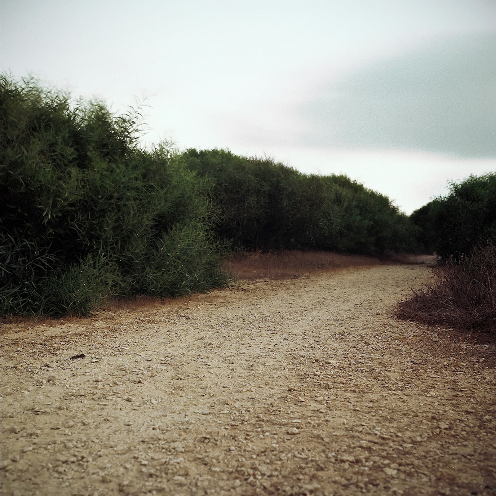 Exit