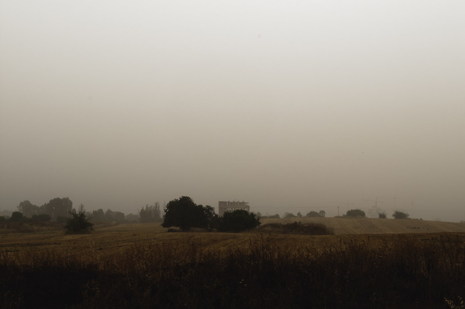 landscape (Camp 104), 2010