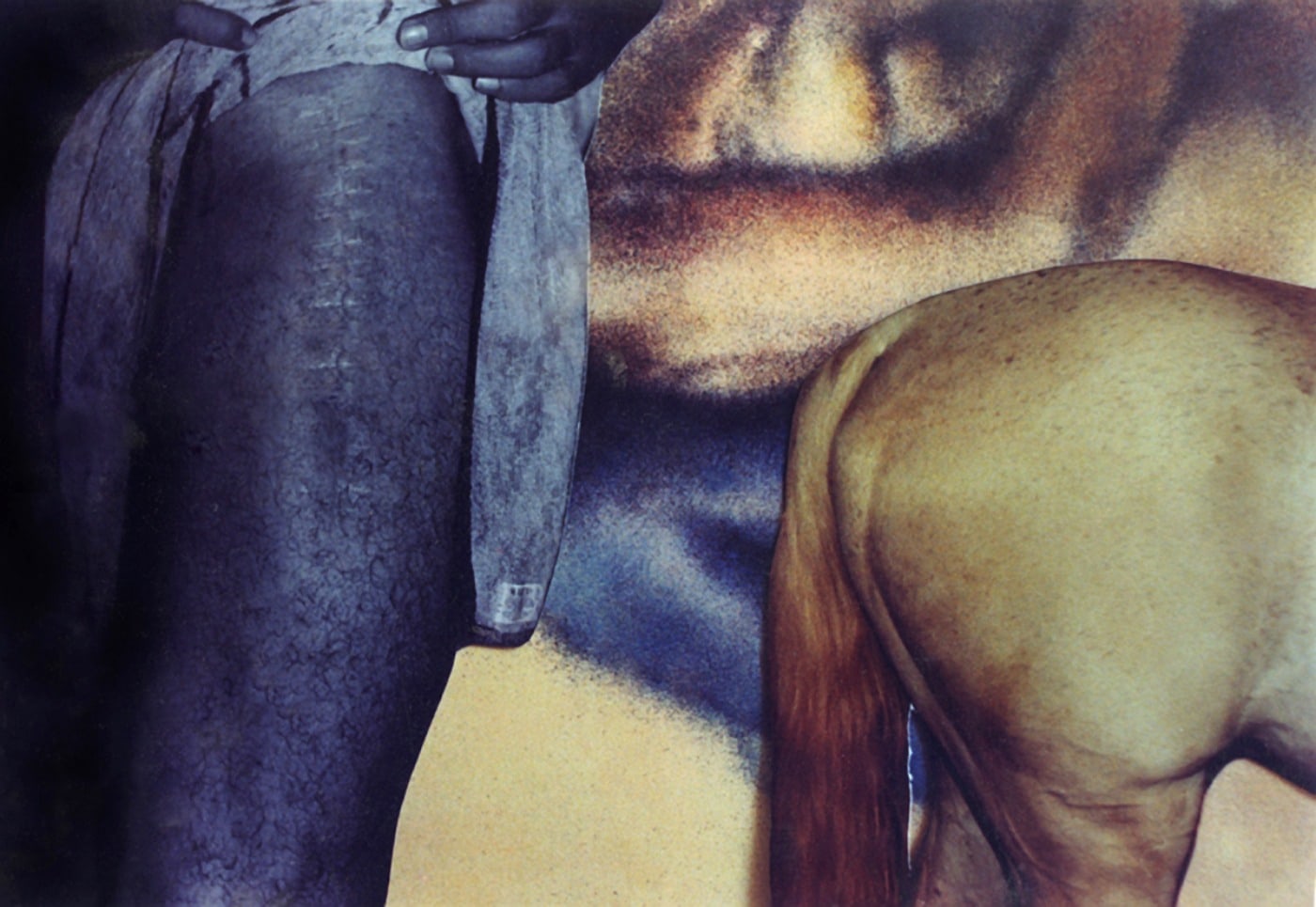 Works (photo collage)