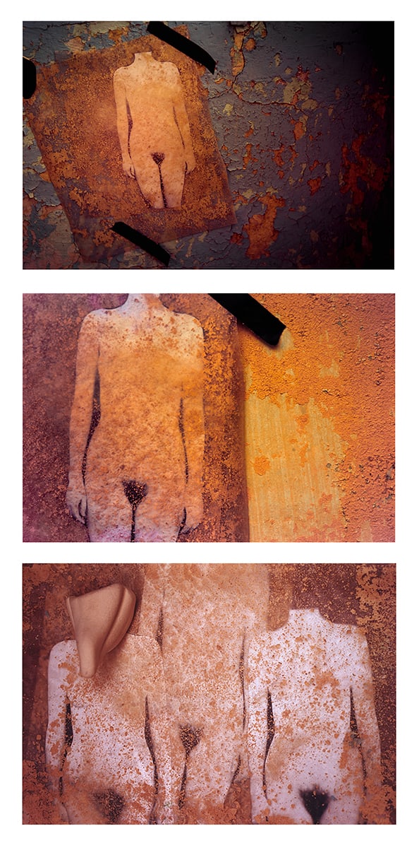 Works (photo collage)