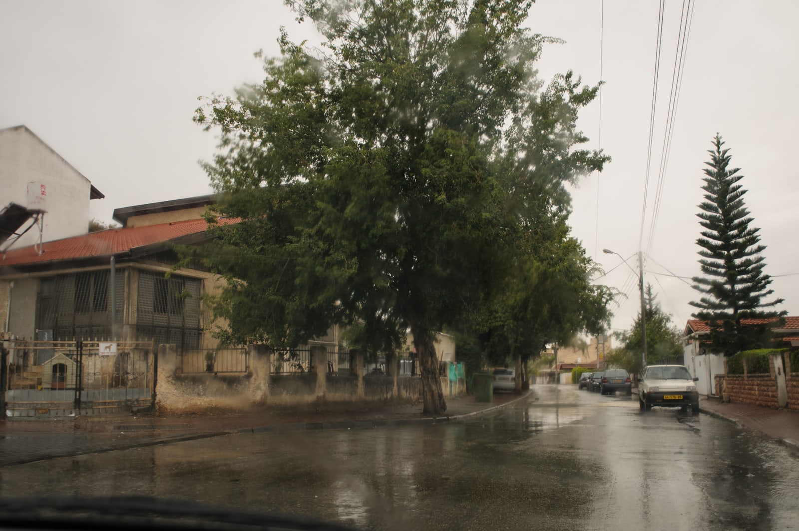 Rain in Kaplan Street, corner of Gordon, 2009
