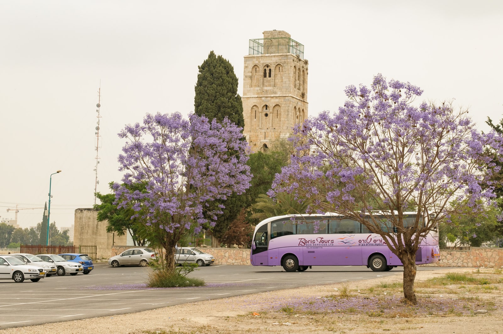 The White Tower, 2011