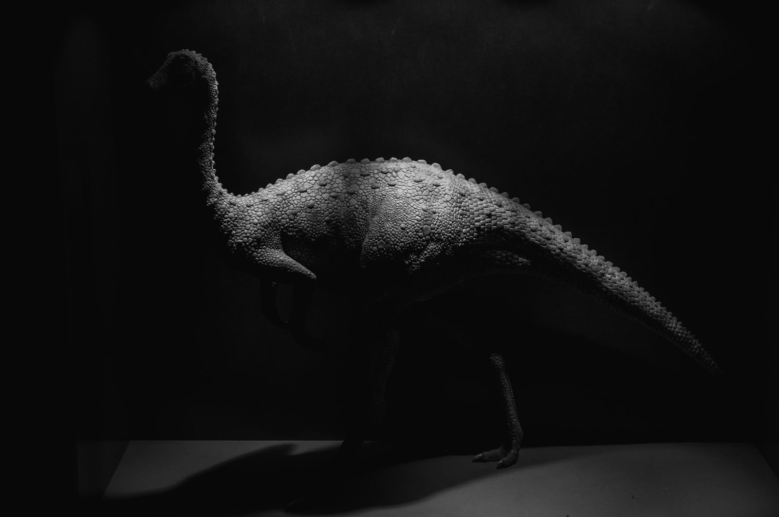 Ornithomimus 2006