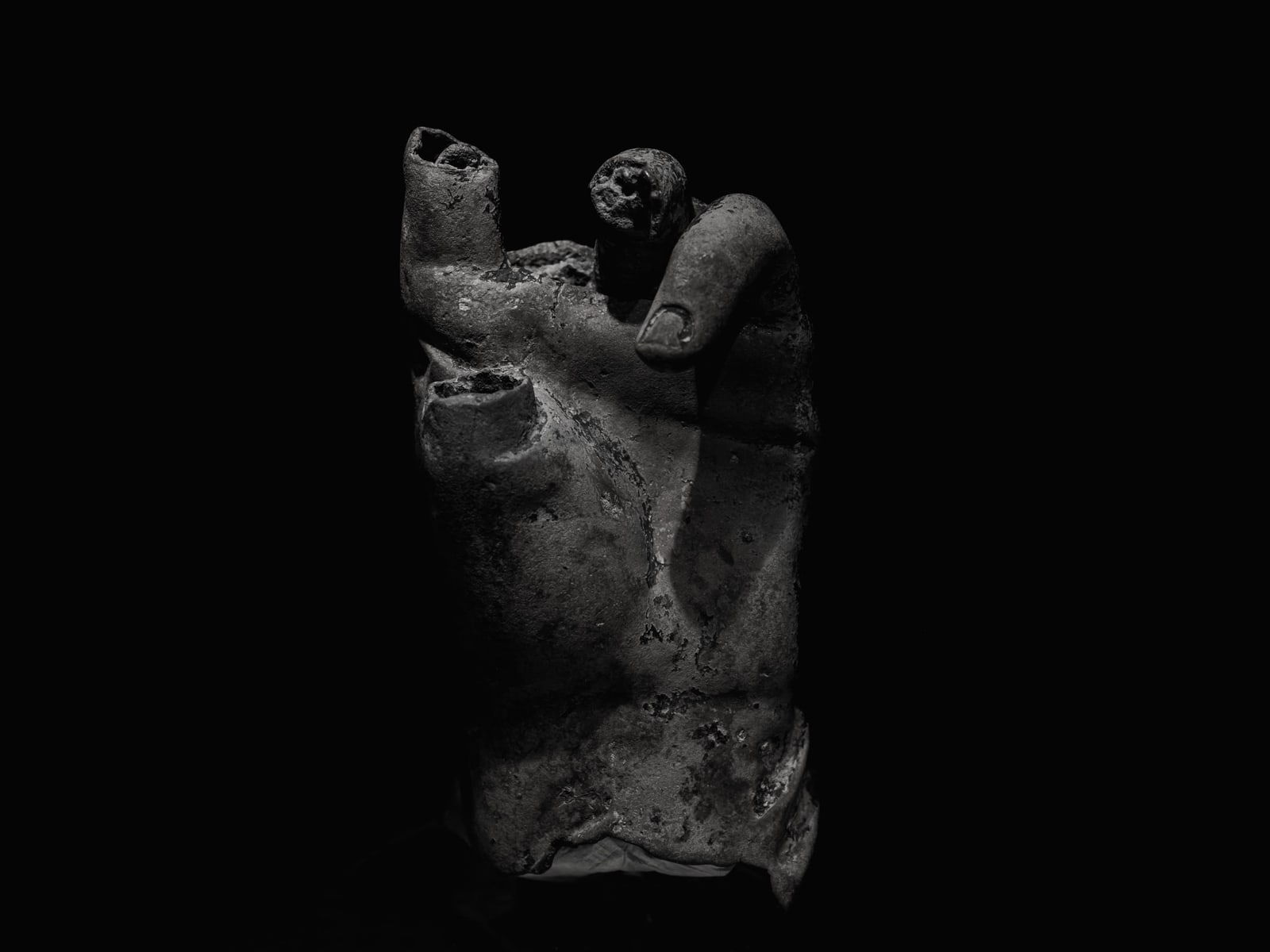 Palm 2022