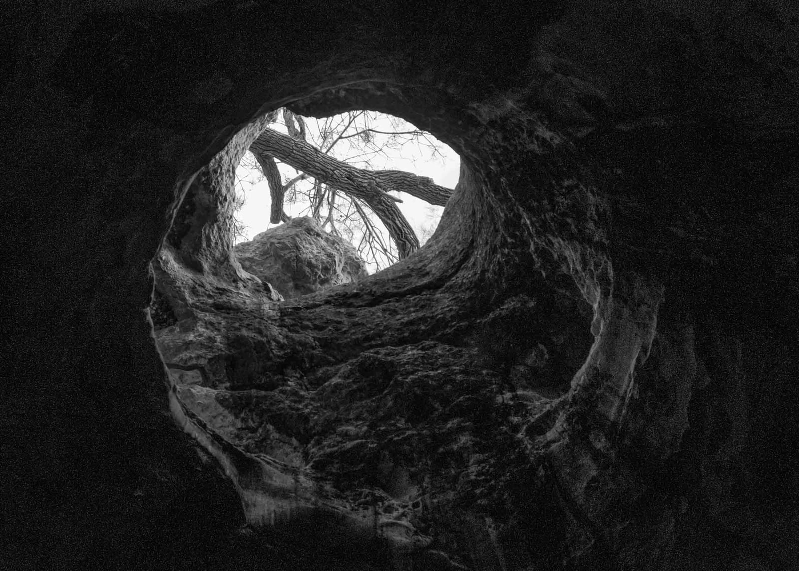 Inside 2009