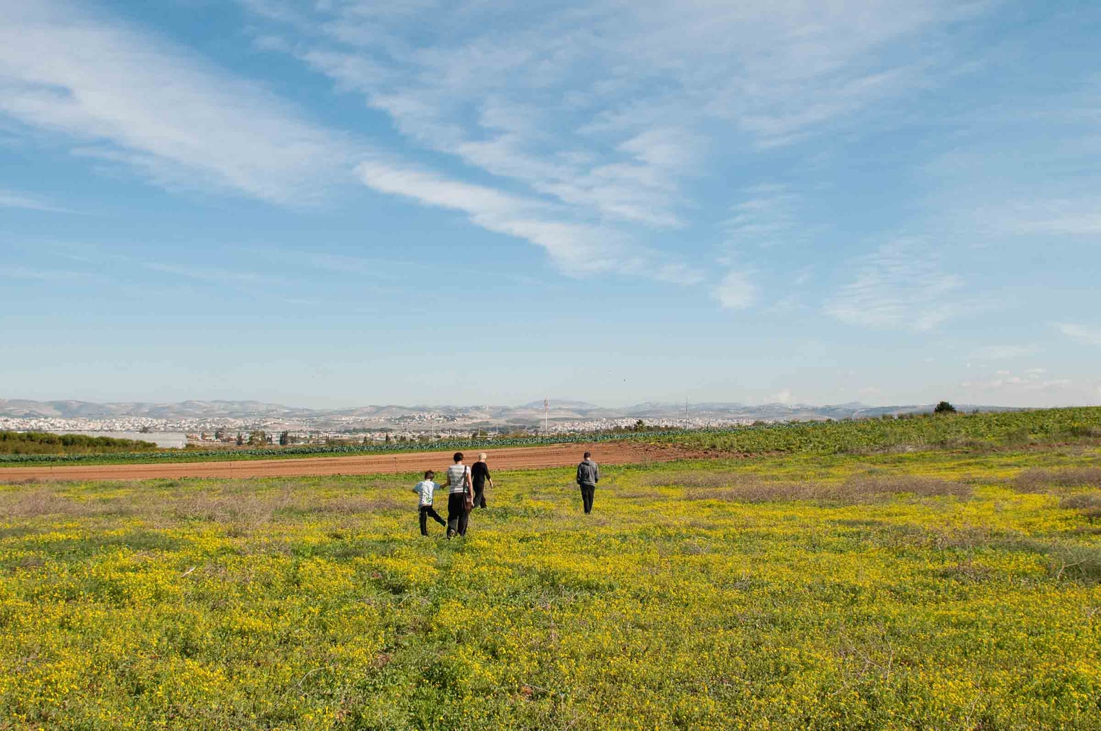 HaSharon, Israel, 2008